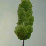 Tree 1