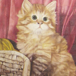 Terms of Use Kitty